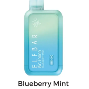 ELFBAR Blueberry Mint 10000pfs 50mg