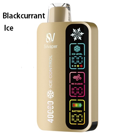 Silvaper Blackcurrant Ice 40000puffs 20mg