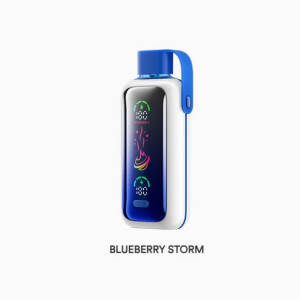 VOZOL STAR Blueberry Storm 20000pfs 5%