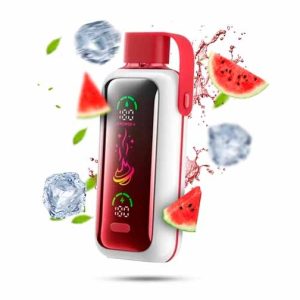 VOZOL STAR Watermelon Ice 20000pfs 5%